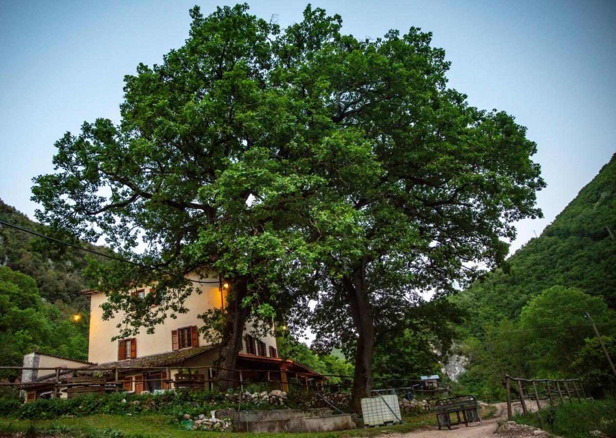 Agriturismo Le Due Querce Cerreto di Spoleto Exterior foto